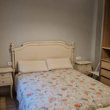 Casa David